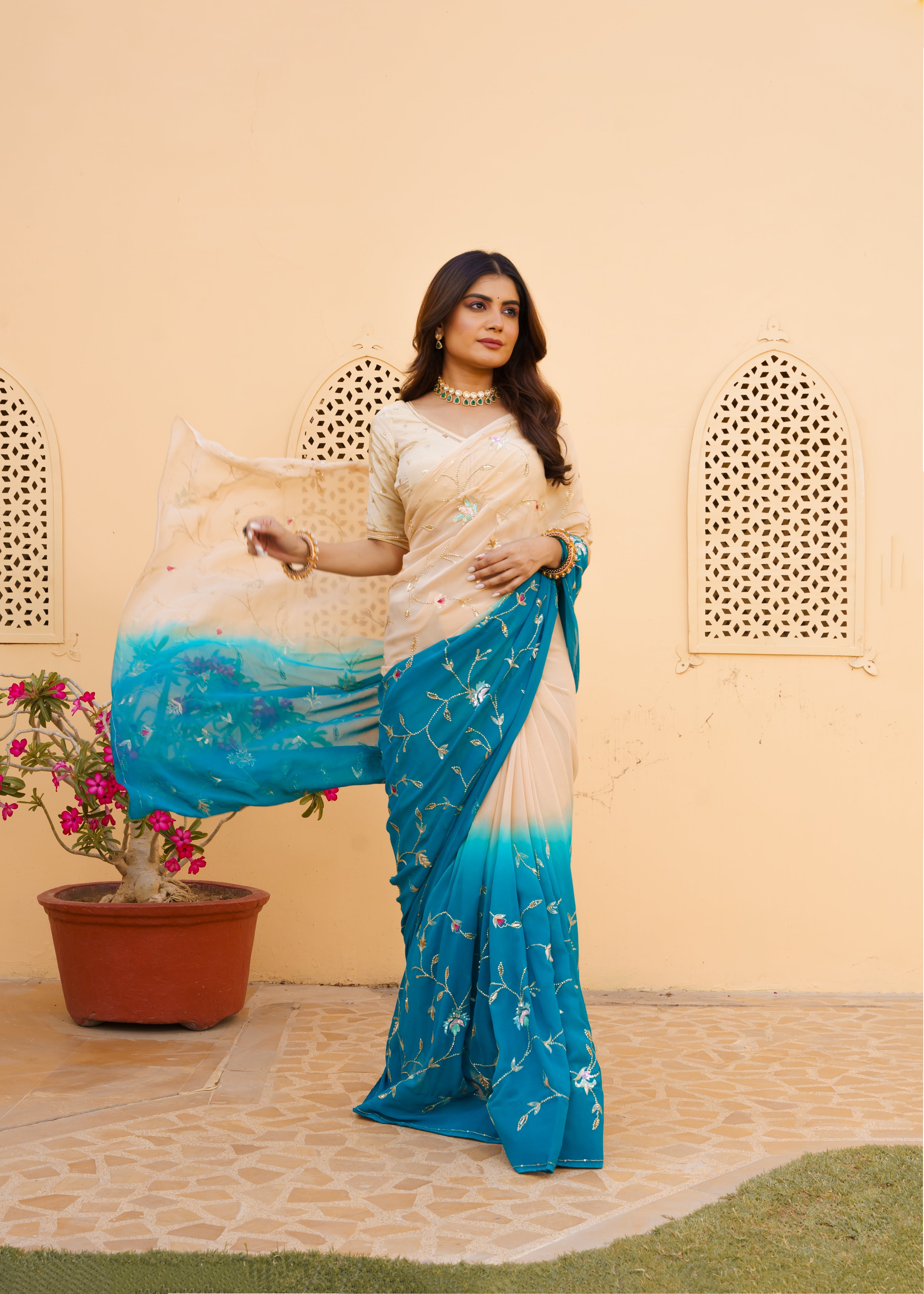 Platinum siffon Saree